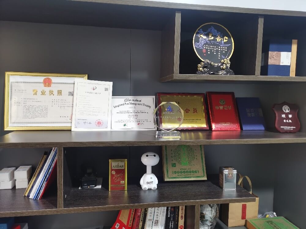 荣誉证书