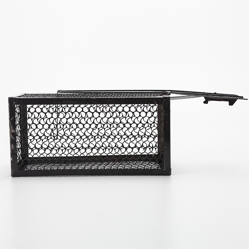 lron mouse cage RT505